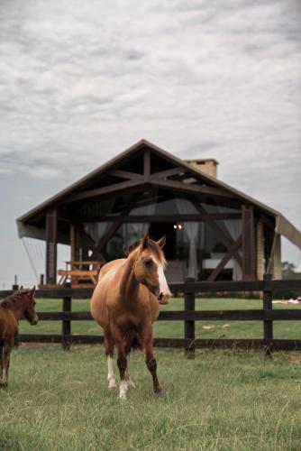 Vicença Glamping, Praia Grande (foto 7)