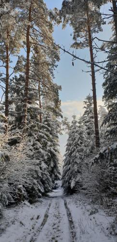 Przystanek Letnisko in Komancza