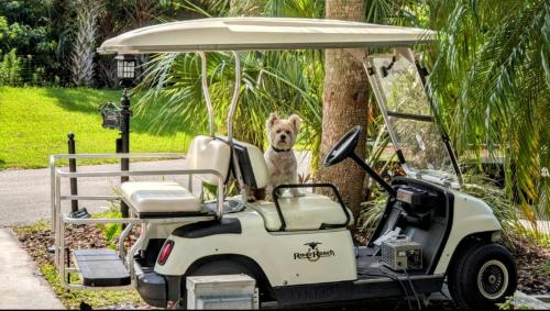 Westgate River Ranch RV Resort Golf Cart Included Free in River Ranch (FL)