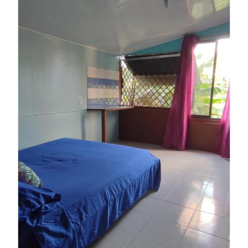 Casita Tangara in Drake Bay