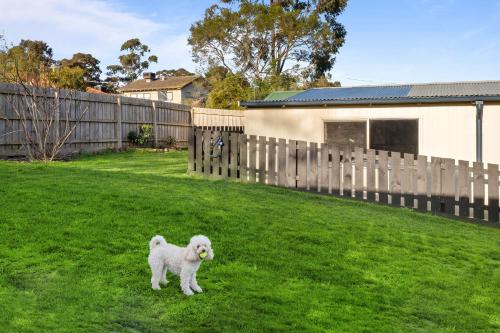 Mooroolbark Pet Friendly 4 Bedroom House