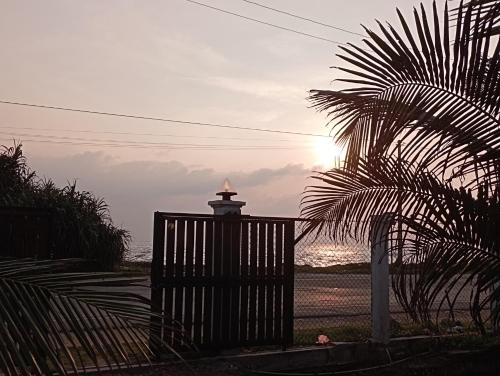 Surf Forever, Midigama East