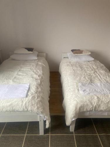 Mieszkania Osmolickie Puławy Azoty - Apartment - Puławy