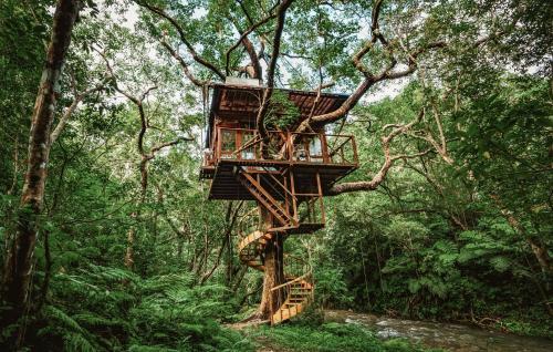 B&B Nago - Treeful Treehouse Sustainable Resort - Bed and Breakfast Nago