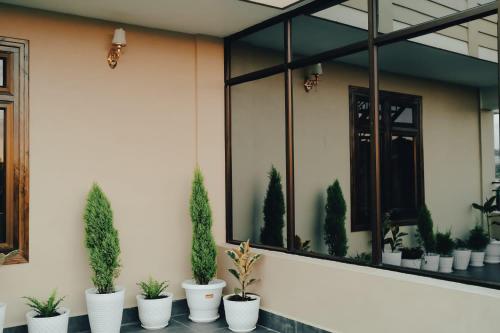 Daiatei Homestay - BnB in Golf Links