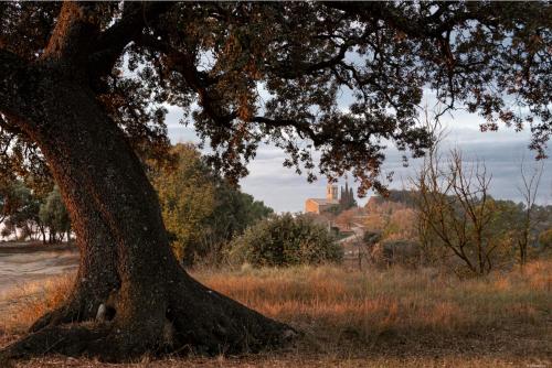 Cal Moliner De Castelladral in Castelladral