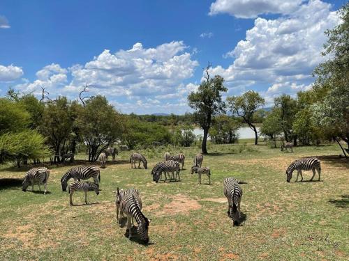 Lodge on Watering Hole , Zebula, Mabula (photo 9)