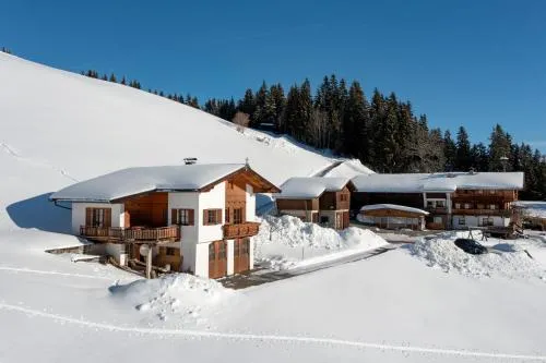 Flecklhütte in Hopfgarten im Brixental, Österreich