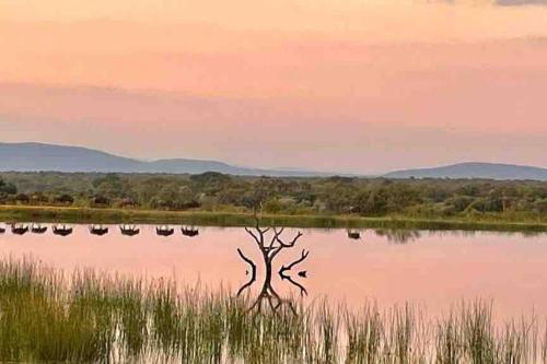 Lodge on Watering Hole , Zebula, Mabula (photo 6)