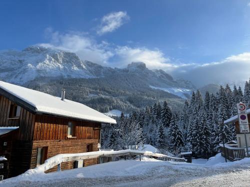 Bližnja okolica, Alpenferienhaus Dachstein-West in Steuer