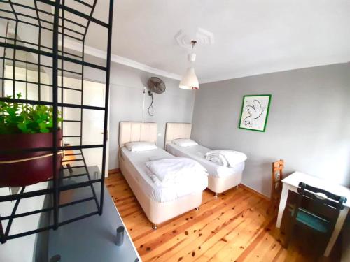 Windrose Hostel Room Type - Twin Room