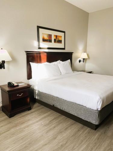 Country Inn & Suites by Radisson, Albany, GA