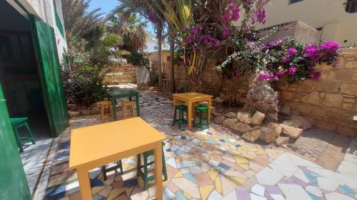 tuin, Surf House Hostel in Santa Maria