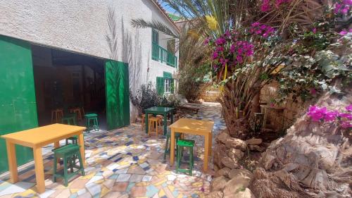 tuin, Surf House Hostel in Santa Maria