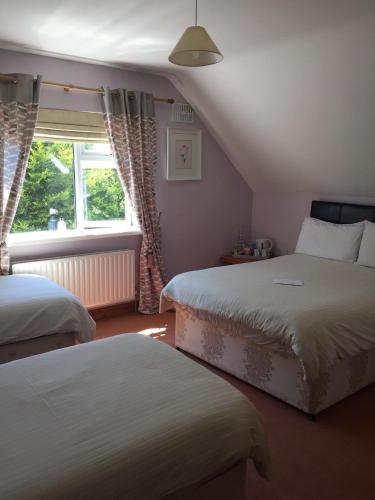 Padua Guest Accommodation Rosslare in Rosslare