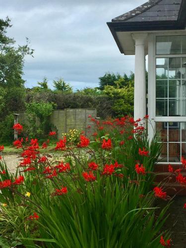 ทัศนียภาพ, Padua Guest Accommodation Rosslare in รอสส์เลร์