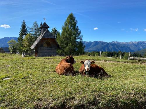 Lovely Cottage in a mountain wilderness of the National Park