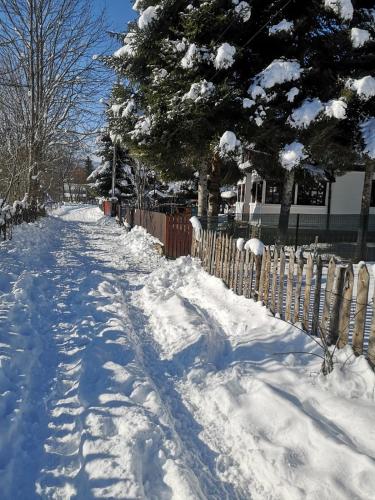 Cabana din Poveste Valea Doftanei