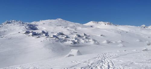 Koča Pastirica - Velika planina