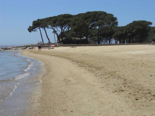 La Londe les pieds dans l'eau - Location saisonnière - La Londe-les-Maures