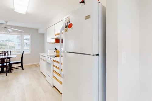 Bluefish & Barracuda - image 13