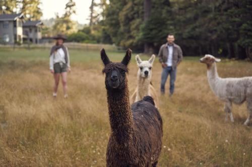 SCP Mendocino Inn and Farm