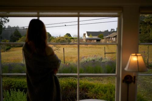 SCP Mendocino Inn and Farm