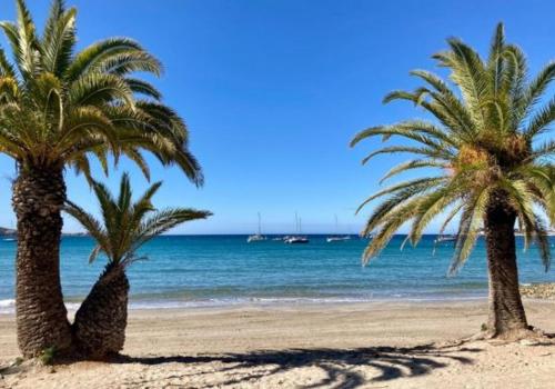 C'est la vie - Location saisonnière - Sanary-sur-Mer