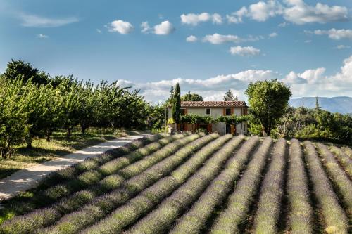 Gîte St Roch en Luberon