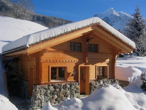 Adler 2 Bett Wohnung Grindelwald