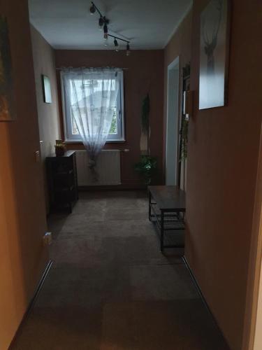 المرافق, Ferienwohnung am Siegelbächle mit E-Bikes Vermietung (Ferienwohnung am Siegelbachle mit E-Bikes Vermietung) in Gutach im Breisgau