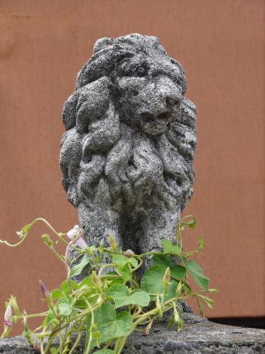  Dal Nonno, casa vacanze in Triest