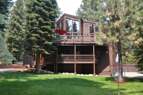 A Slice of Silver Fir