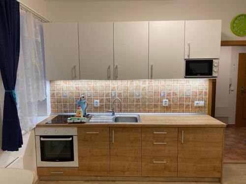 Apartmán Meluzína (Apartman Meluzina) in Staré Hamry
