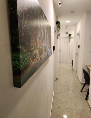 The Boutique – Jerusalem, CA