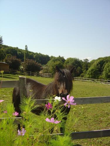 Moulin D’Huile