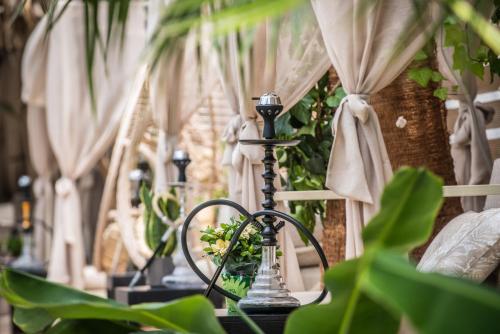 Oasis Hotel - Adults Only - image 14