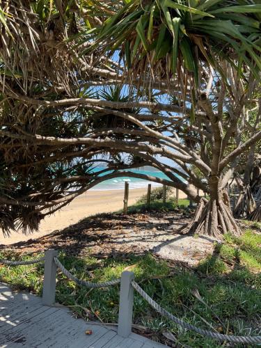 Private Suite Nautilus Beach Front Resort