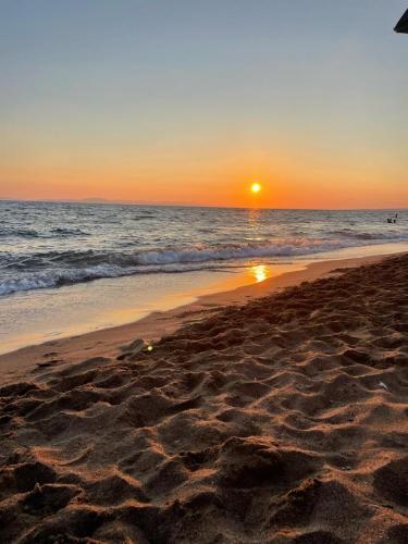 OVILIO KALAMATA OVILIO KALAMATA