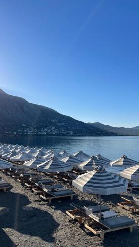 OVILIO KALAMATA OVILIO KALAMATA