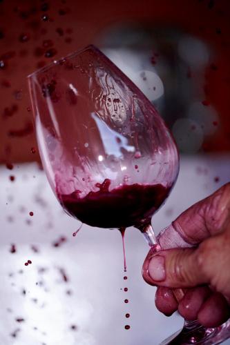 Les Glycines - Domaine Gilles Coperet - image 12