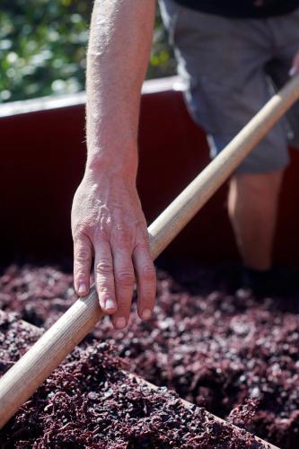 Les Glycines - Domaine Gilles Coperet - image 4