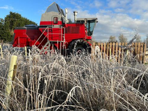 Kaleb The Combine in Friskney