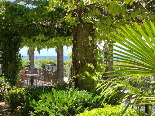 Hotel Oleander - Oleander Resort - image 9