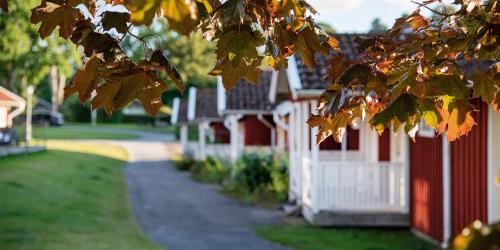 Två Skyttlar