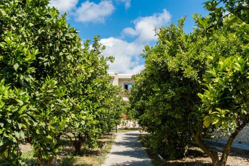 Ilyssion Holidays Hotel - image 8