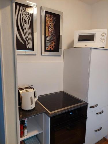 Apartment Nannerl, Зальцбург (фото 7)