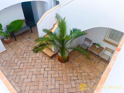 One-Bedroom Apartment image 6