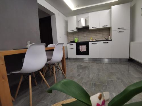 virtuve, Apartmani KA Sveti Martin in Sveti Martin Na Muri