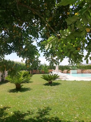 Il Giardino Del Tiglio 4